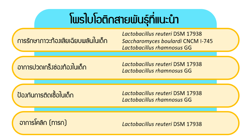 โพรไบโอติก สายพันธุ์ Lactobacillus reuteri DSM17938